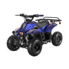 Rex 110cc ATV | 4-Stroke Automatic Transmission