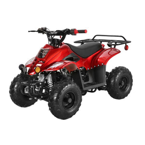 Rex 110cc ATV | 4-Stroke Automatic Transmission