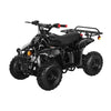 Rex 110cc ATV | 4-Stroke Automatic Transmission