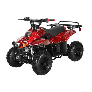 Rex 110cc ATV | 4-Stroke Automatic Transmission