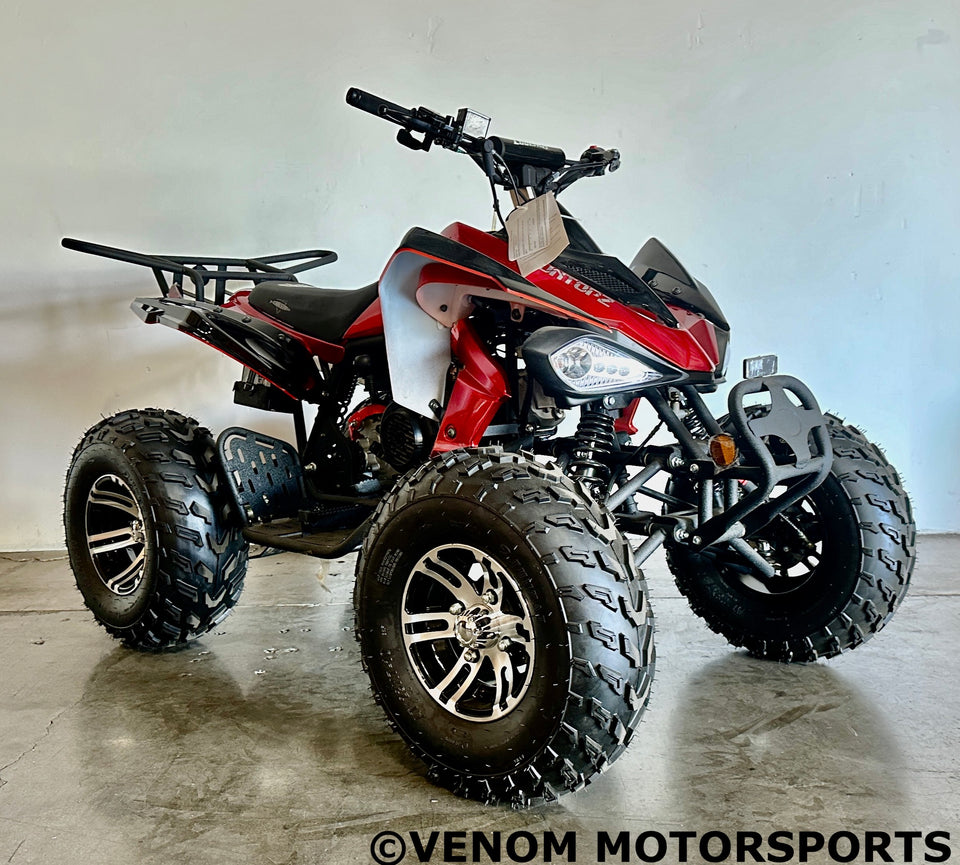 Viper 200cc Full-Size Adult ATV Automatic + Reverse