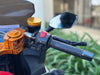 Venom x22R | 250cc Motorcycle | 5 Speed [PRE-ORDER JULY 31ST 2026]