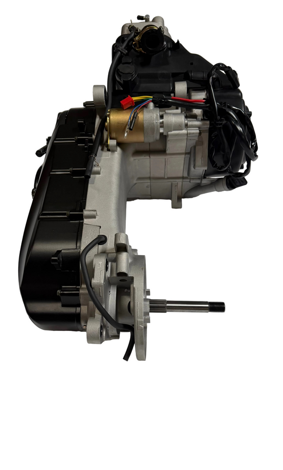 X19 200cc Automatic Motorcycle | Engine (1010091)