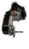 X19 200cc Automatic Motorcycle | Engine (1010091)