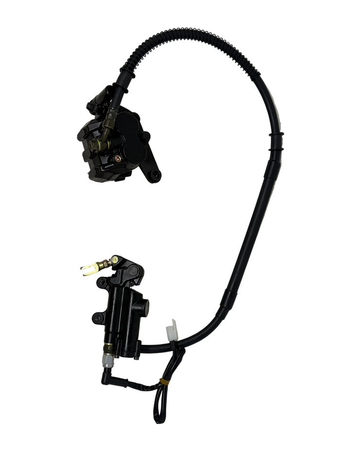 X19 200cc Automatic Motorcycle | Rear Brake Assembly (4010133)