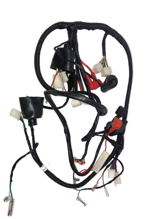 X18 50cc GY6 Motorcycle | Wiring Harness (08010073)